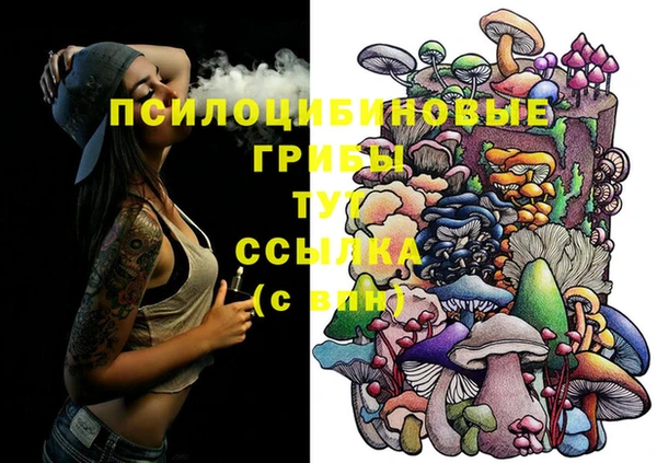 марки nbome Карпинск